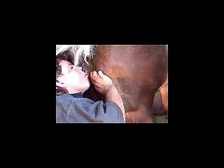 Mbs Blow Horsecock Fists Mare