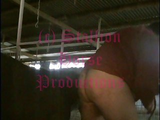 Chsh007a