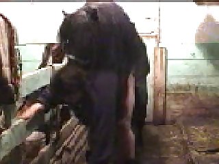 Zoo Mistress Beast Horse In Stall Incredible Cumshot In Pussy