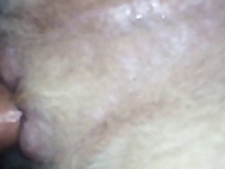 Maslaseen Com