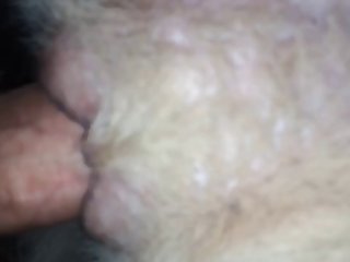 Maslaseen Com