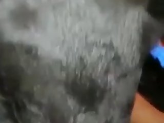 Pornh