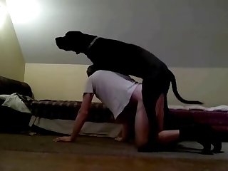 Cock Craving Dude Getting Pounded In His Ass By A Big Black Dog