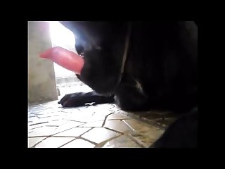 Doggie Lipstick Aluzky