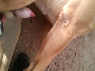 Slowmo Cumming.wmv