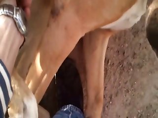Slowmo Cumming.wmv