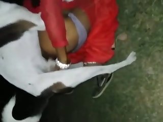 Dog Fucks Shemale Prostitute For Money