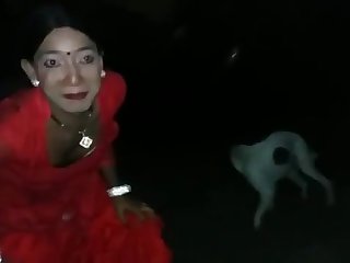 Dog Fucks Shemale Prostitute For Money