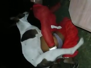 Dog Fucks Shemale Prostitute For Money