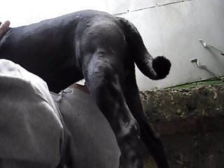 Aluzky Giving Blowjob 01