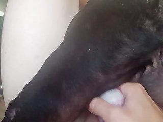 Anal Fingering Male Dog