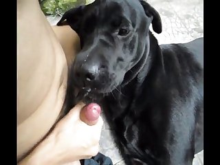 Aluzky Cumshot 03