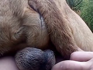 Inshot 20210521 005551275