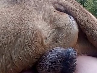 Inshot 20210521 005551275