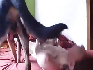 Man Fuck With Dog 1099