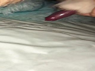 Dog Sitting And Getting My Friends Dog Hard