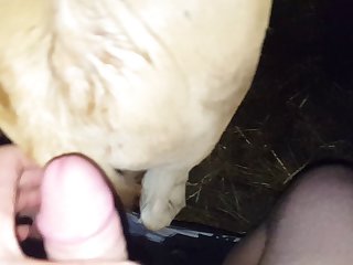 20170623 030321