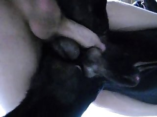Dry Humping A Dog With A Boner
