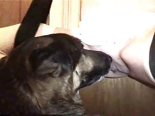 Forced Anal Sex