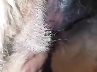 Human Farm Hentai