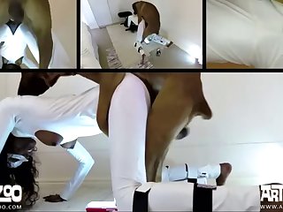 Female Horse Porn