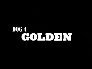 Dog Fucked Hard