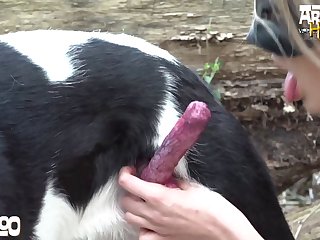 Bestiality Premium Porn