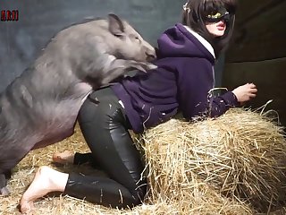 Porn Bestiality Game