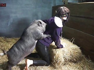 Bestiality Orgasm Porn