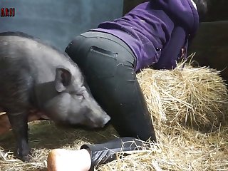 Bestiality Orgasm Porn