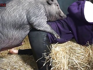 Bestiality Orgasm Porn