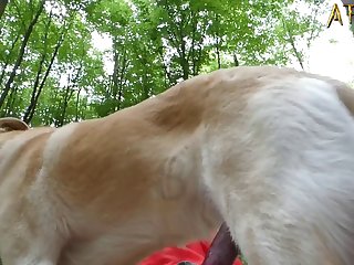 Bestiality Porn 2023