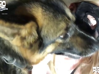 Gay Horse Bestiality Porn