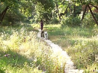 Why Is Bestiality Porn Xxx Vids
