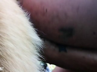 Bestiality Dirty Talk Porn