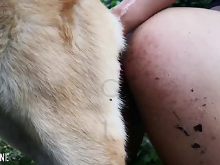 Bestiality Dirty Talk Porn