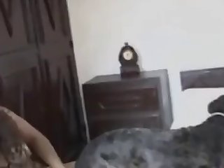 Egyptian Cat Porn Animal Crossing