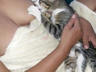 Porn Pregnant Animal