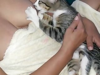 Porn Pregnant Animal
