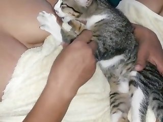 Porn Pregnant Animal