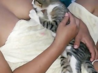 Porn Pregnant Animal