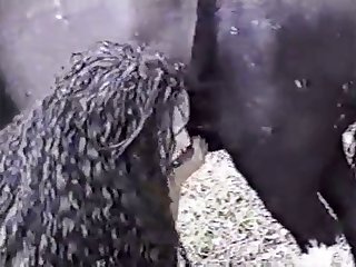 Girls With Animal Porn