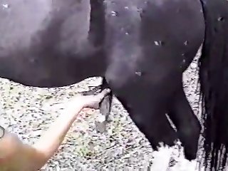 Girls With Animal Porn