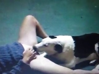 Porn Men And Animal