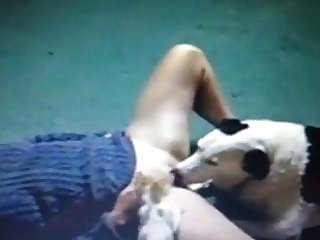 Porn Men And Animal