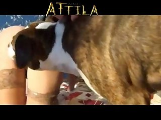 Sexo Anal Zoofilia
