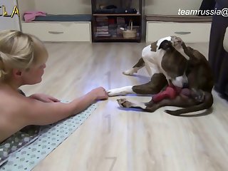 Porno Zoofilia Compilation