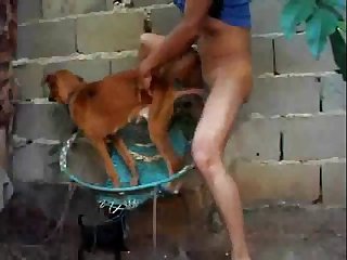 Porn Extreme Slut