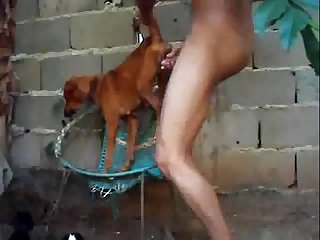 Porn Extreme Slut
