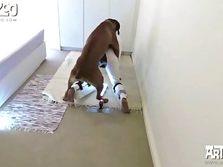 Extreme Porn Telegram Group